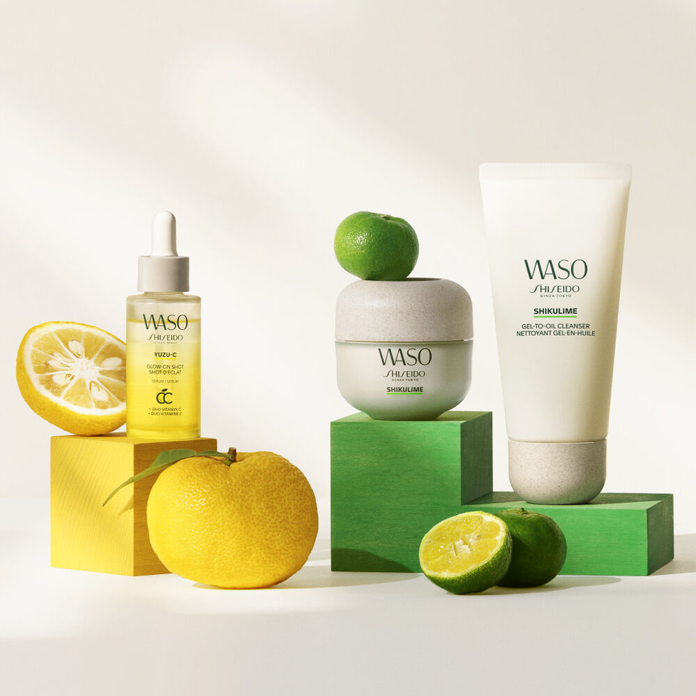 WASO Holiday Kit, 